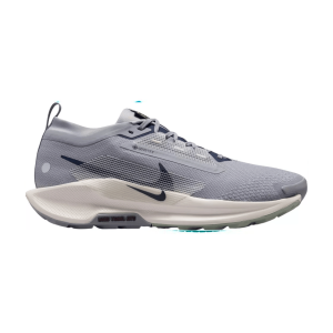 Nike Pegasus Trail 5 GTX