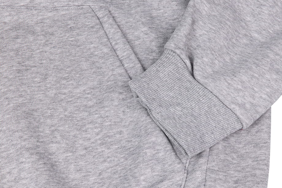 Sudadera Hombre adidas MH BOS con capucha algodón - DT9947 - gris - Imagen 5