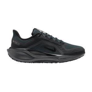 Nike Air Zoom Pegasus 41 Gtx Hombre